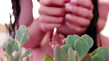 Zia xo succulent glass tentacle dildo wet & messy look dildos porn video manyvids on dochick.com